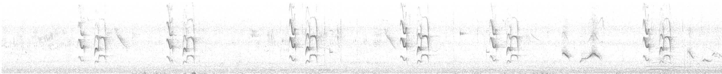 Graustirn-Dickichtschlüpfer - ML609498166