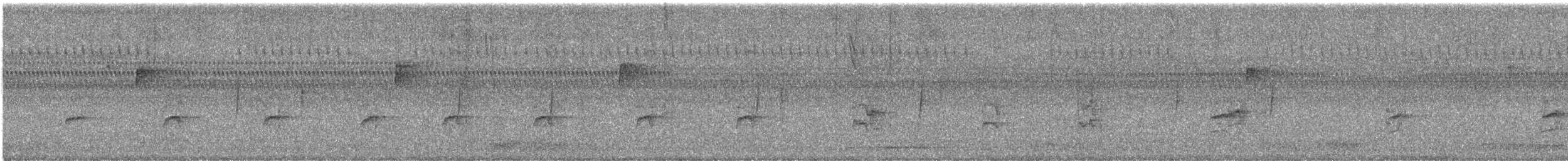 Least Flycatcher - ML609498521