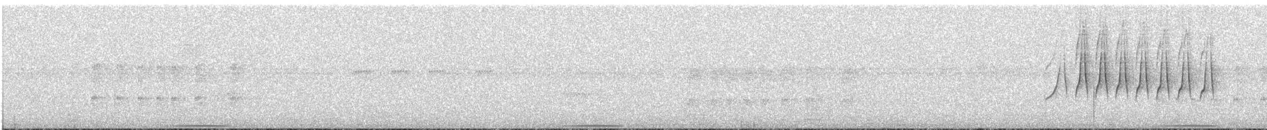 Mouse-gray Flycatcher - ML609502054