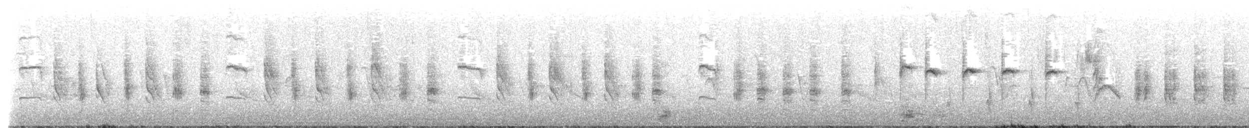 Rousserolle effarvatte (groupe baeticatus) - ML609502242