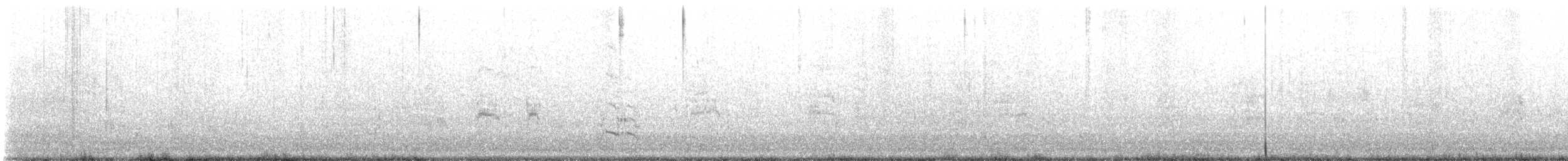 Royal Tern - ML609512014