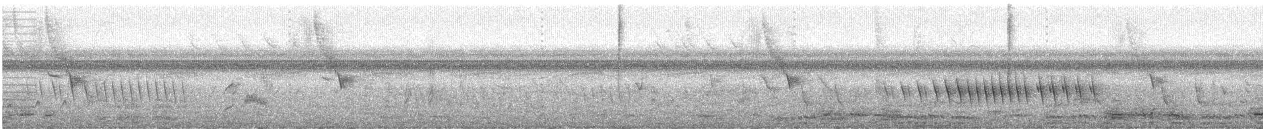 キタホオジロヒメウソ - ML609512552