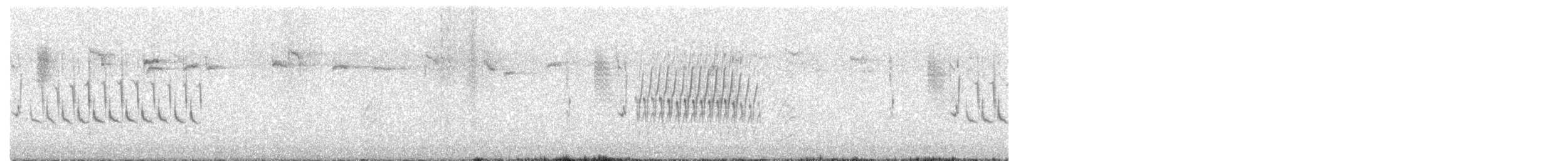 Troglodyte de Latham - ML609521001