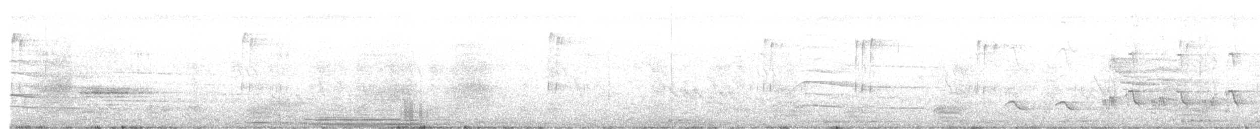 Indian Gray Hornbill - ML609523204