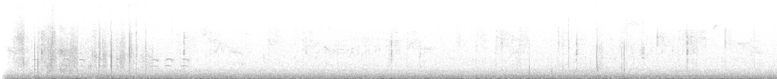 Weißbrustkleiber (aculeata/alexandrae) - ML609524286