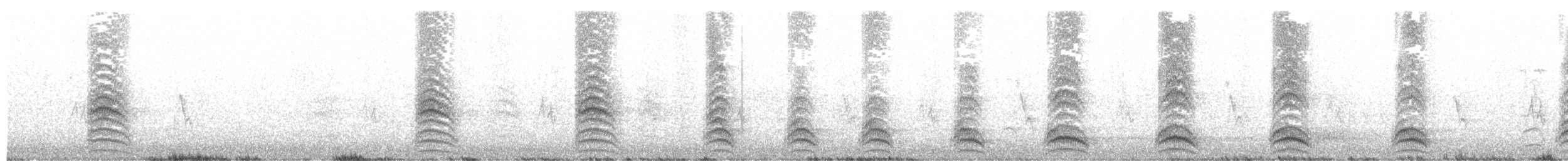 שחף אגמים - ML609529118