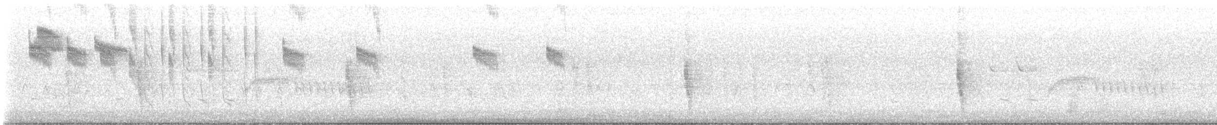 Allen's Hummingbird - ML609533713