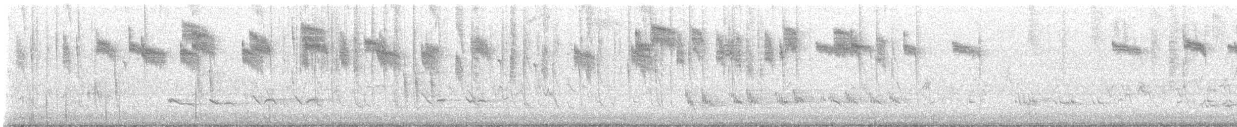 Allen's Hummingbird - ML609533863