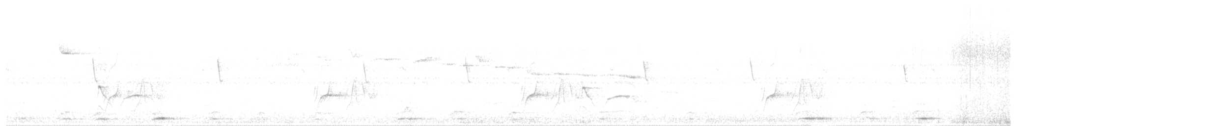 Çizgili Büyük Tiran - ML609534071