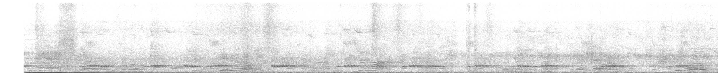 White-cheeked Barbet - ML609538857