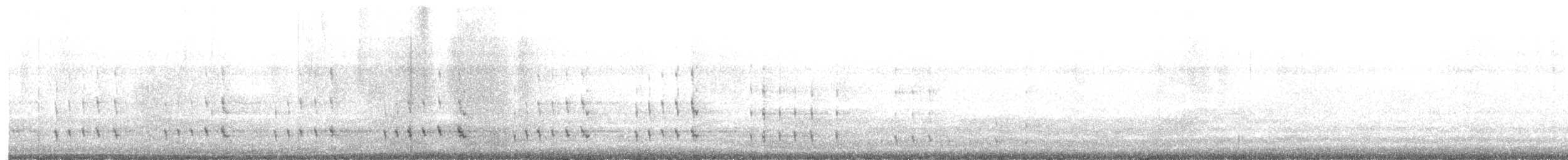 Yellow-eyed Penguin - ML609543648