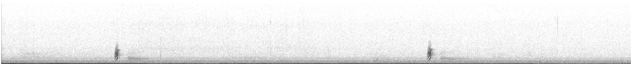 Ornate Tinamou - ML609546694