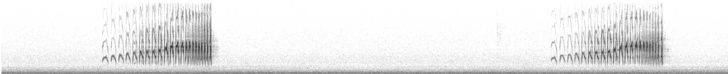 Strichelrückencanastero (Rötelflügelcanastero) - ML609547500