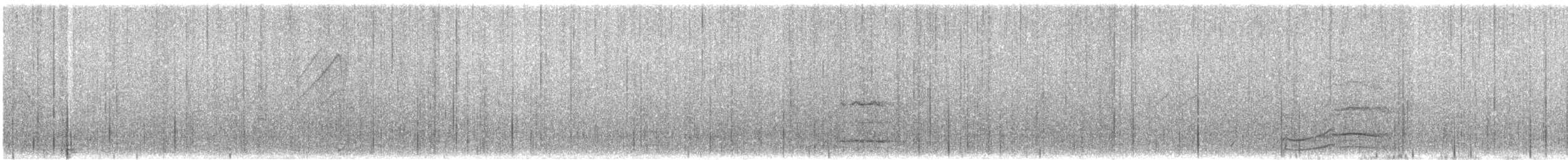 Wood Duck - ML609547996