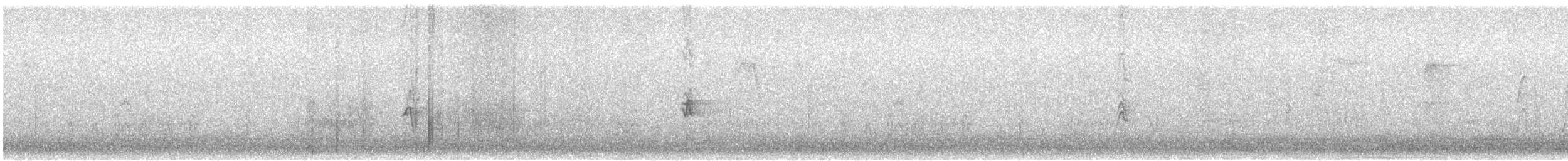 House Finch - ML609548211