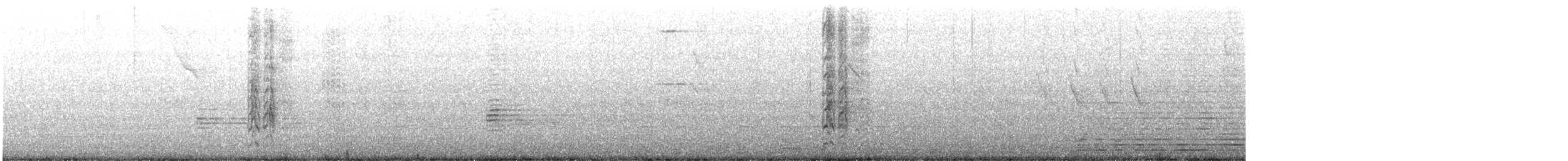 brunstrupeparakitt (pertinax gr.) - ML609561194