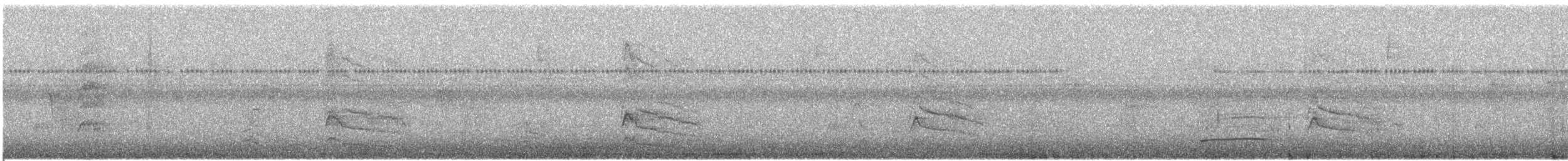 Yellow-bellied Sapsucker - ML609567245