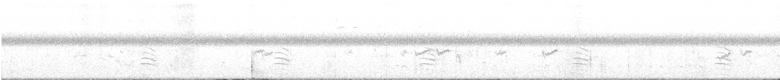 Least Sandpiper - ML609567846