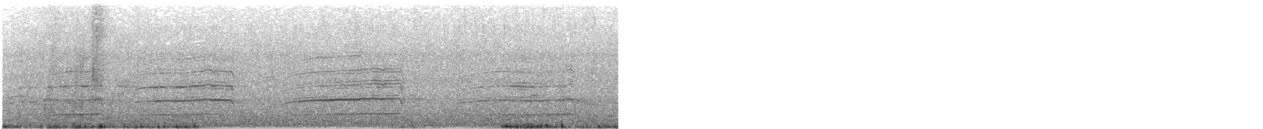 sokol stěhovavý (ssp. peregrinator) - ML609569640