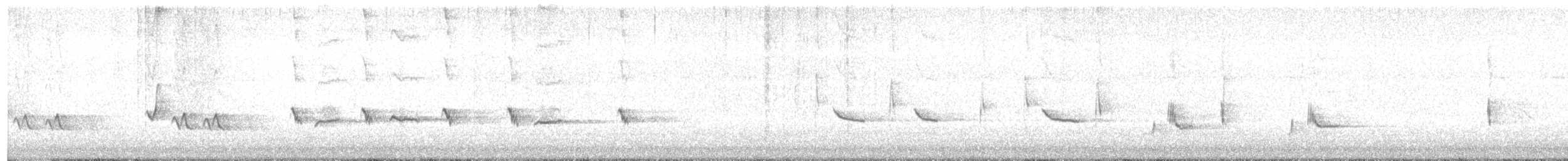 Northern Mockingbird - ML609574480