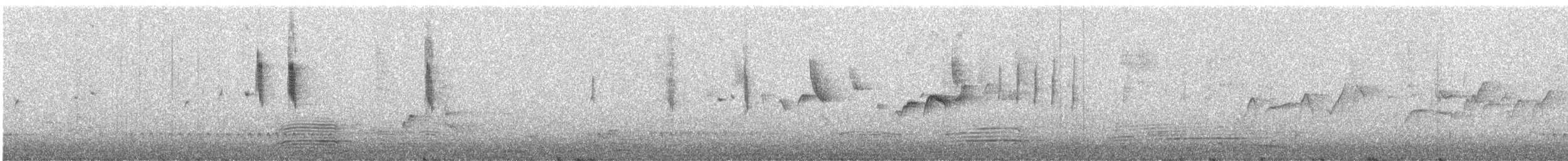 Stutzschnabel - ML609576963