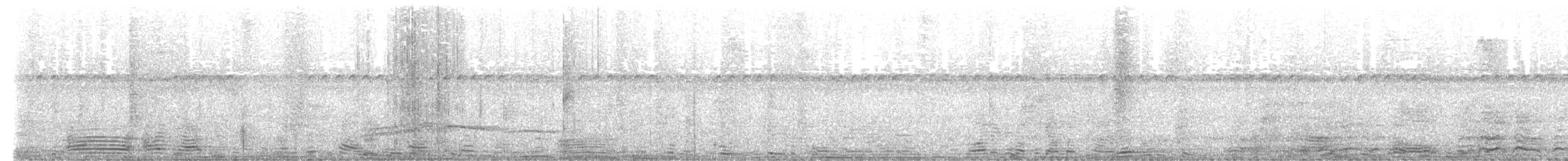 Helmeted Manakin - ML609585290