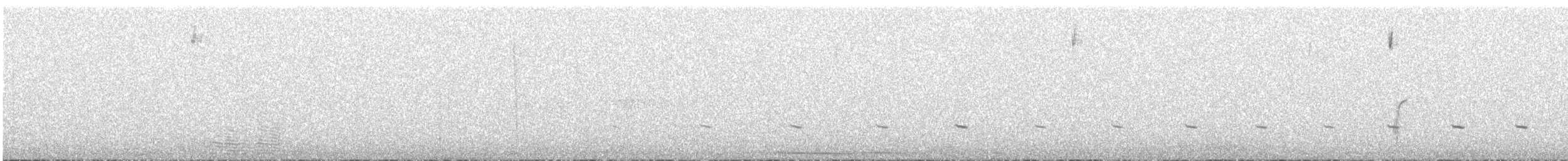 Tinamou de Darwin - ML609591834