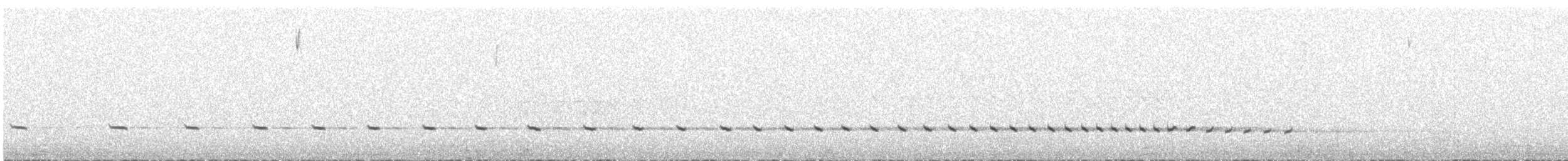 Tinamou de Darwin - ML609591835