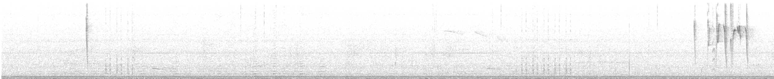 White-eared Conebill - ML609594004