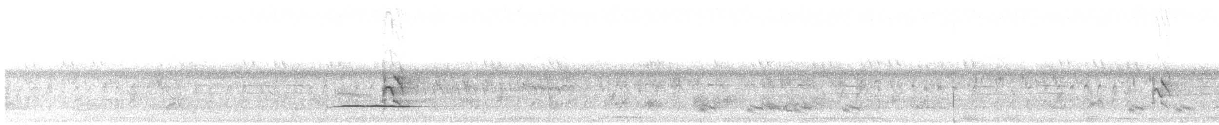 Белобрюхий дронго - ML609596384