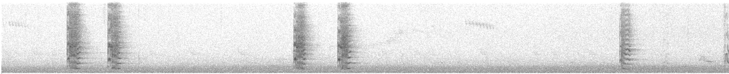 Синещёкая розелла [группа elegans] - ML609598338