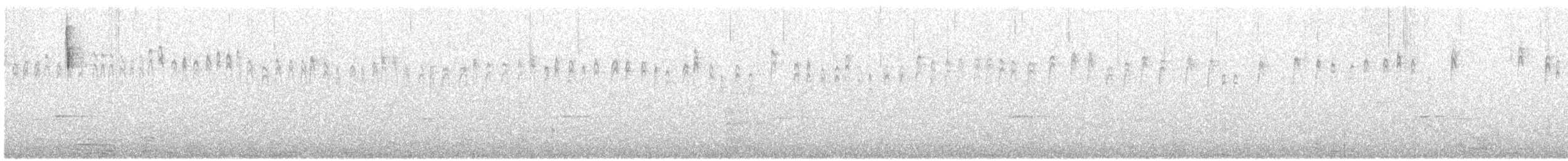 Ak Kaşlı Serikornis [frontalis grubu] - ML609598353