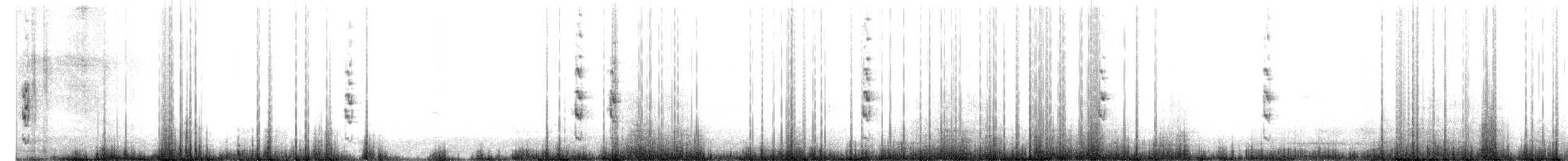 chřástal australský - ML609598515