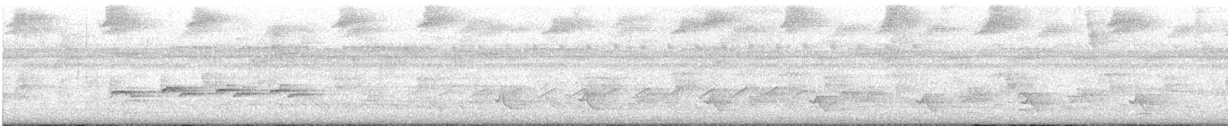 Willis's Antbird - ML609607227