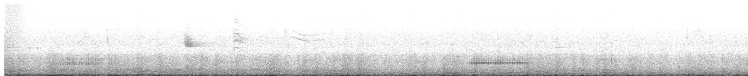 strakapoud proužkohřbetý - ML609612231