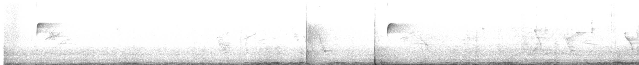 Mor Alınlı Kolibri - ML609612733