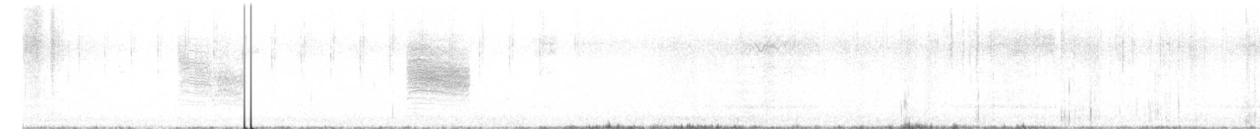 Gray Catbird - ML609613032
