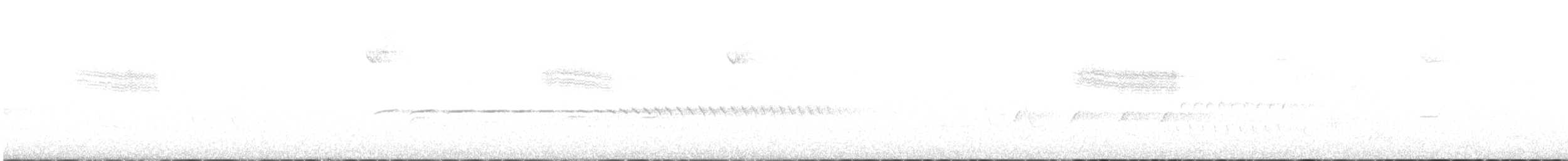Голубокрылая червеедка - ML609622173