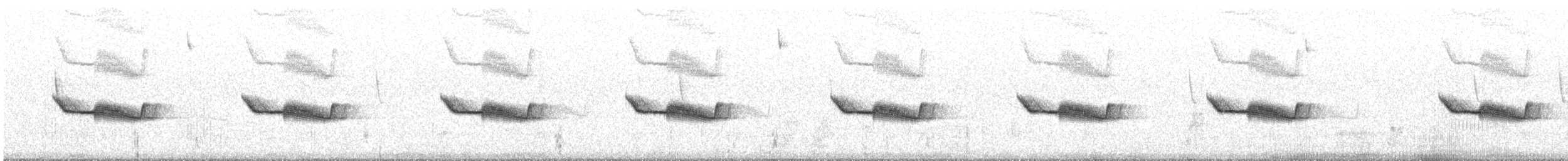 Uzun Gagalı Çobanaldatan (bifasciata/patagonica) - ML609626021