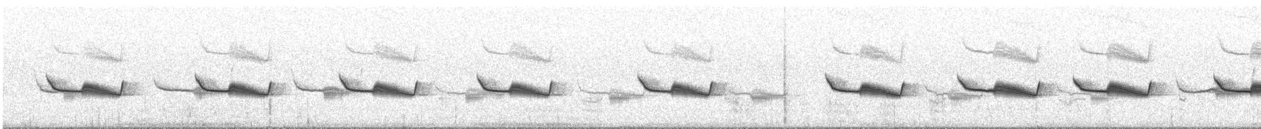 Uzun Gagalı Çobanaldatan (bifasciata/patagonica) - ML609626038