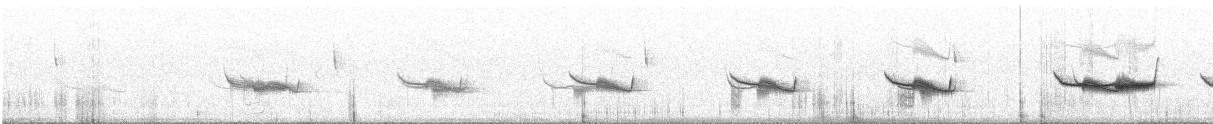 Uzun Gagalı Çobanaldatan (bifasciata/patagonica) - ML609626137