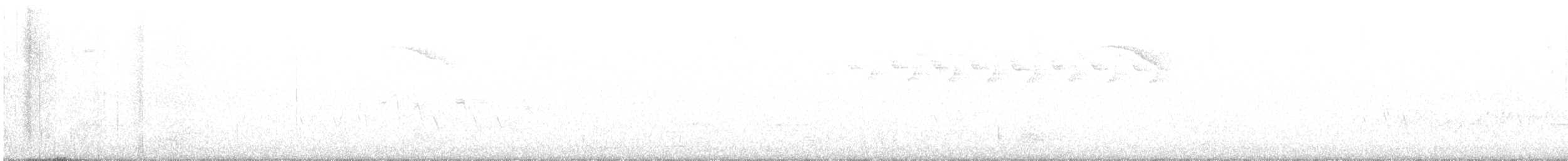 lesňáček černobílý - ML609626661