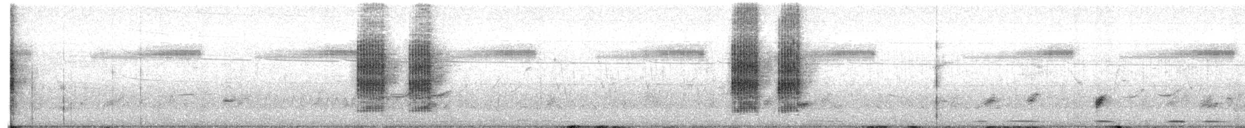Long-tailed Shrike - ML609626749