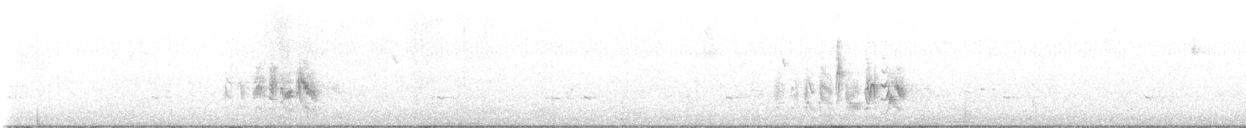 Віреон короткокрилий (підвид arizonae) - ML609650620