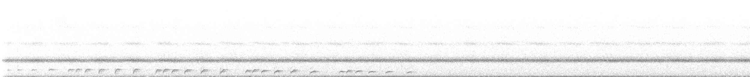 Whiskered Screech-Owl - ML609650744