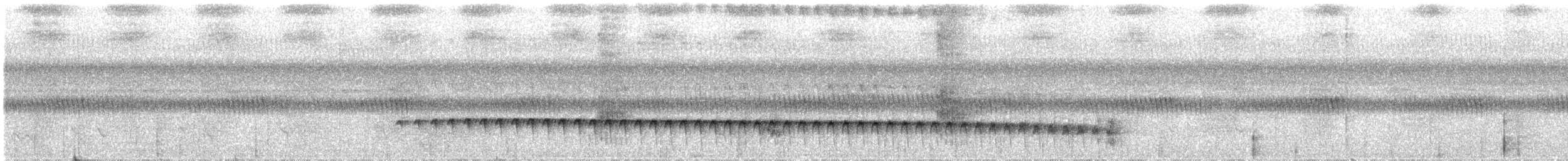 Weißstirn-Ameisenschnäpper - ML609671384