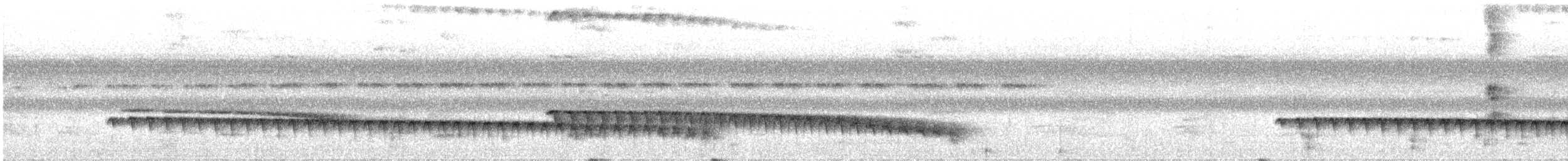 Weißstirn-Ameisenschnäpper - ML609671501