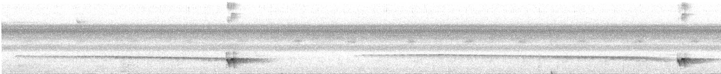 Graubrust-Ameisendrossel - ML609683320