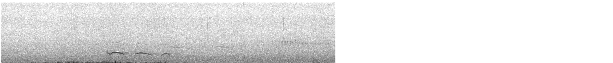 Лінивка-смугохвіст плямистобока - ML609686153