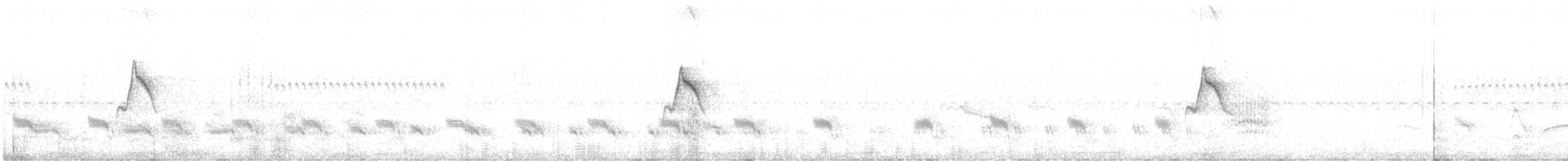 Тиранчик-короткодзьоб південний - ML609691066